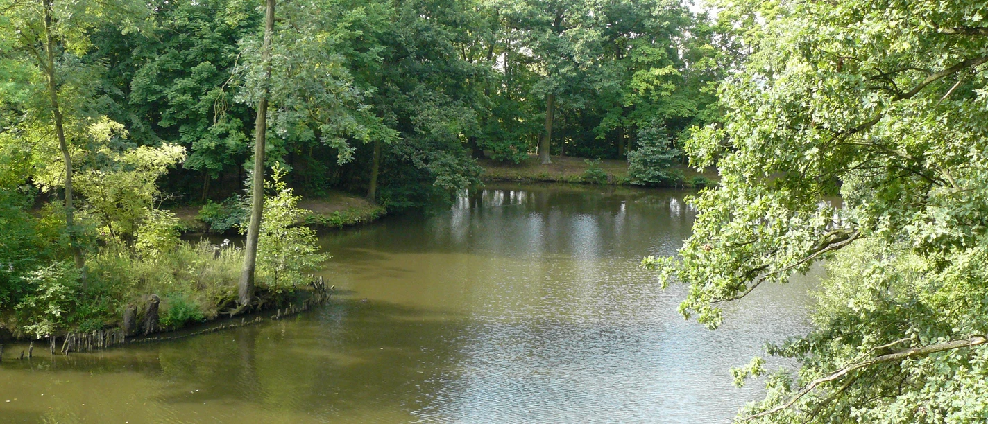 Swan Pond Park Borsdorf