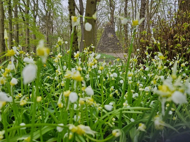 Upstalsboom im Frühling Upstalsboom im Frühling