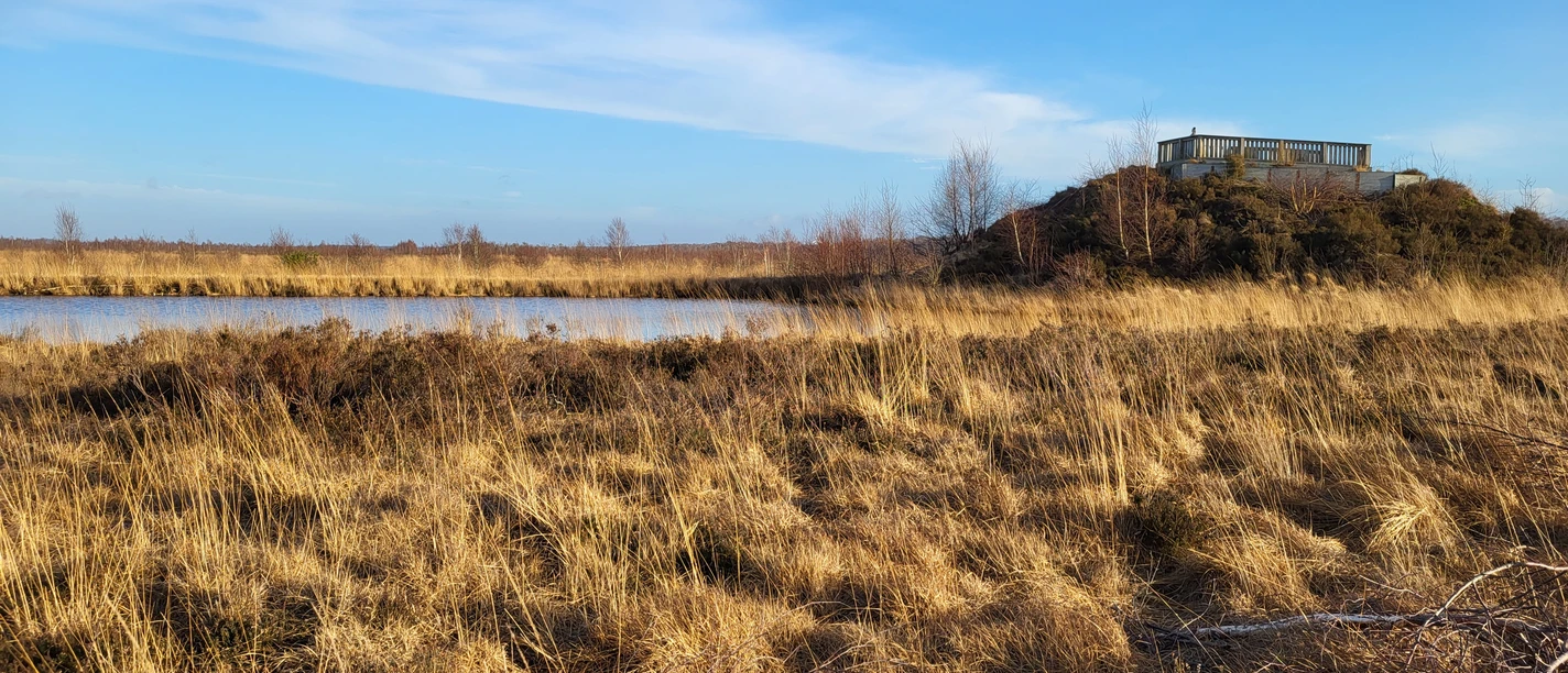 Aussichtsplattform auf einem Hügel im Moor mit Wasserfläche und trockenen Gräsern unter blauem Himmel.