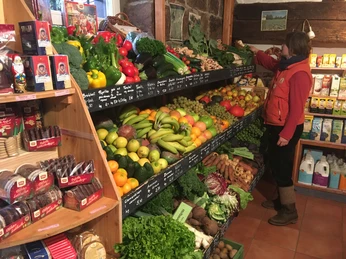 Immer frisches Gemüse und Obst