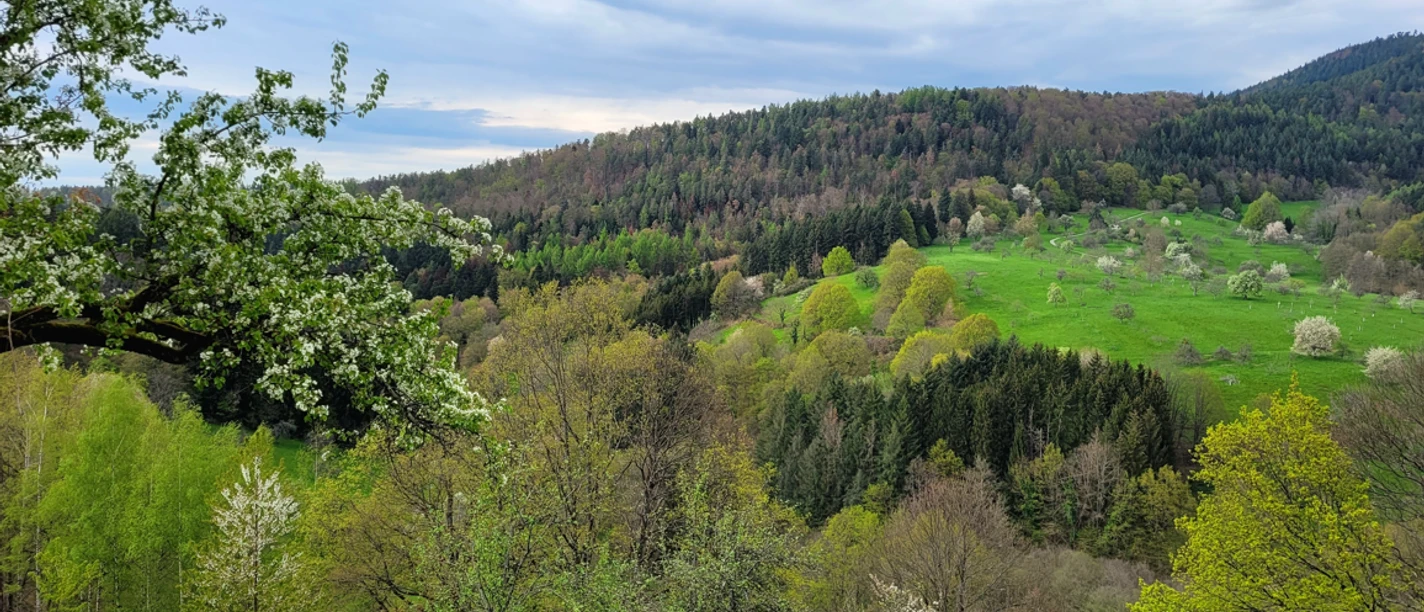 Landschaftsbild Loffenau