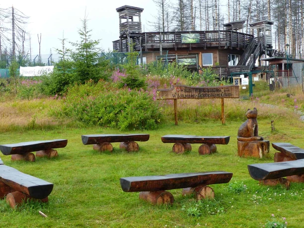 Bänke im Wildkatzen Erlebniszentrum Bad Harzburg