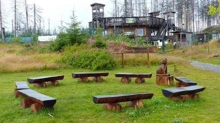 Bänke im Wildkatzen Erlebniszentrum Bad Harzburg Bänke im Wildkatzen Erlebniszentrum Bad Harzburg