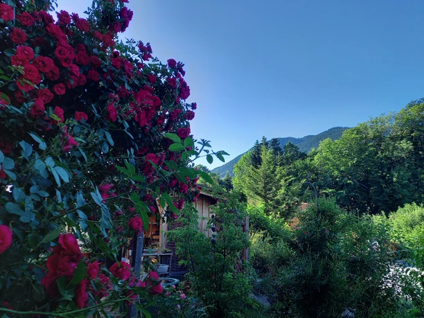 Blick von der Terasse auf´s hintere Hörnle.jpg