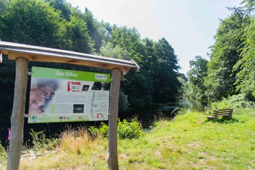 MEP017_Biberparadies_am_Altarm_AnjaPoker1.jpg