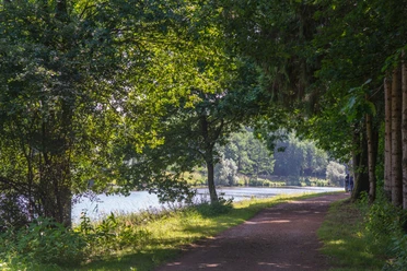 MEP018_Wald_der_Fruehblueher_EsterfelderForst_AnjaPoker1.jpg