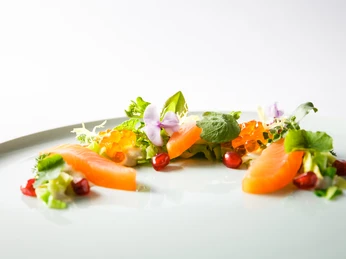 Kirberg Catering_Vorspeise_Lachs.jpg Vorspeise mit Lachs und SalatAppetizer with salmon and salad