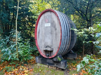 1. Rebellenblutfass 2023 Herbst Alfter