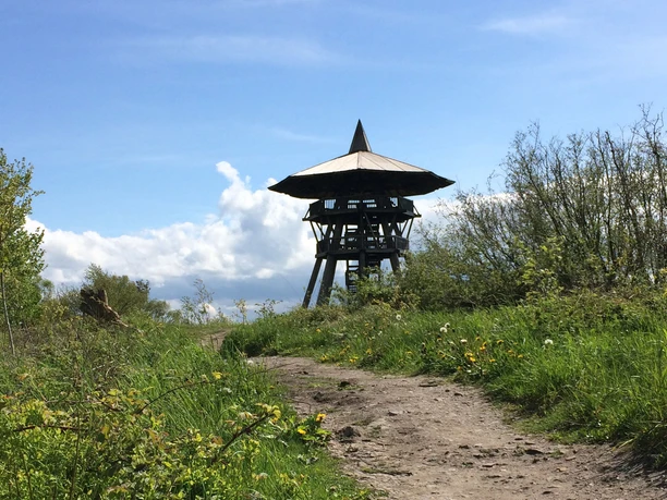 Naturerbe Wanderwelt Altenbeken | Naturschätze-Steig Naturerbe Wanderwelt Altenbeken | Naturschätze-Steig