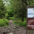 Naturerbe Wanderwelt Altenbeken | Naturschätze-Steig
