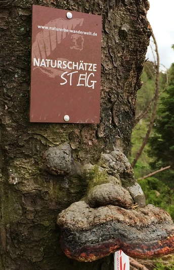 Naturerbe Wanderwelt Altenbeken | Naturschätze-Steig Naturerbe Wanderwelt Altenbeken | Naturschätze-Steig