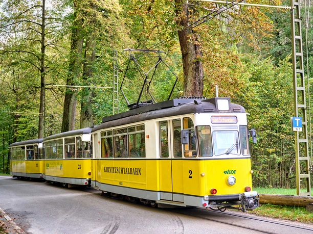 Yellow streetcar of the Kirnitzschtalbahn runs through a wooded area, with destination sign "Bad Schandau" and overhead lines above the track.