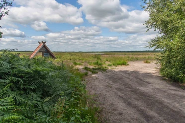 TWI040_Kehlchenparadies_Ruehlermoor_AnjaPoker3.jpg Holzunterstand am Rand einer offenen Moorlandschaft mit Sandweg, Farnen und weitem Himmel.