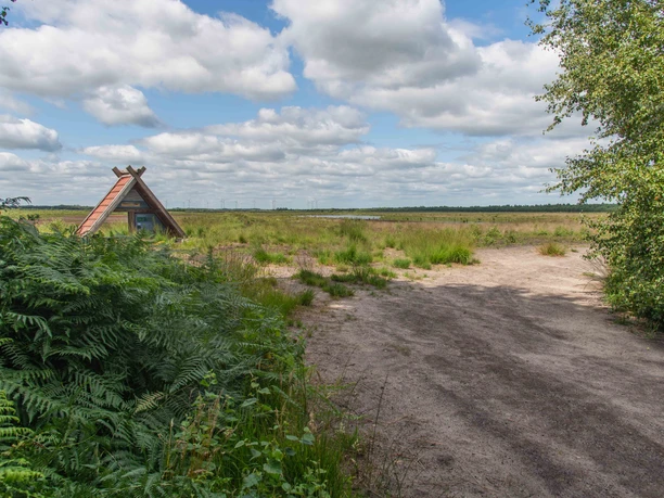 TWI040_Kehlchenparadies_Ruehlermoor_AnjaPoker3.jpg Holzunterstand am Rand einer offenen Moorlandschaft mit Sandweg, Farnen und weitem Himmel.