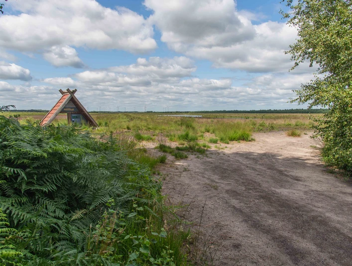 TWI040_Kehlchenparadies_Ruehlermoor_AnjaPoker3.jpg Holzunterstand am Rand einer offenen Moorlandschaft mit Sandweg, Farnen und weitem Himmel.