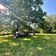 Zelt 1.jpg Ein großes Zelt steht auf einer grünen Wiese unter einem weit ausladenden Baum an einem sonnigen Tag.