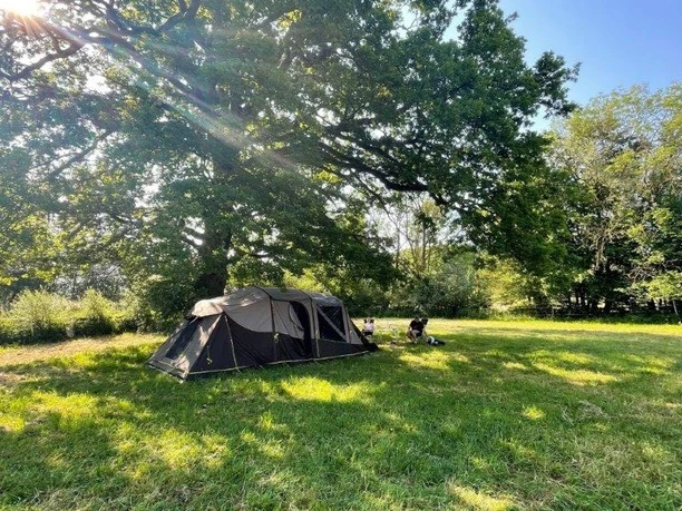 Zelt 1.jpg Ein großes Zelt steht auf einer grünen Wiese unter einem weit ausladenden Baum an einem sonnigen Tag.