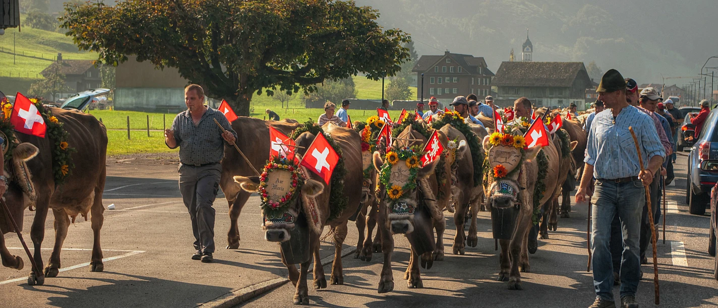 Brauchtum Alpabzug Wolfenschiessen