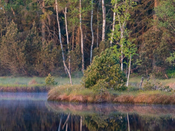 Wunderwelt Moor 768x512