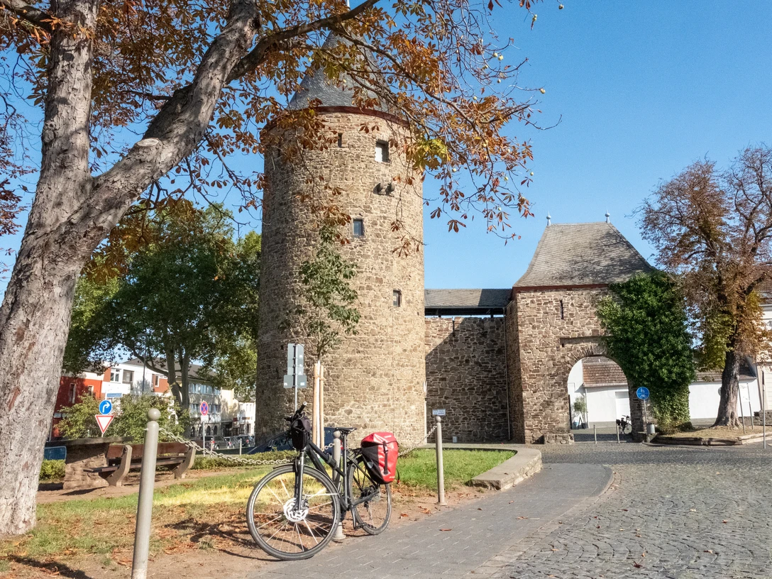 Wasemer Turm Herbst Rheinbach