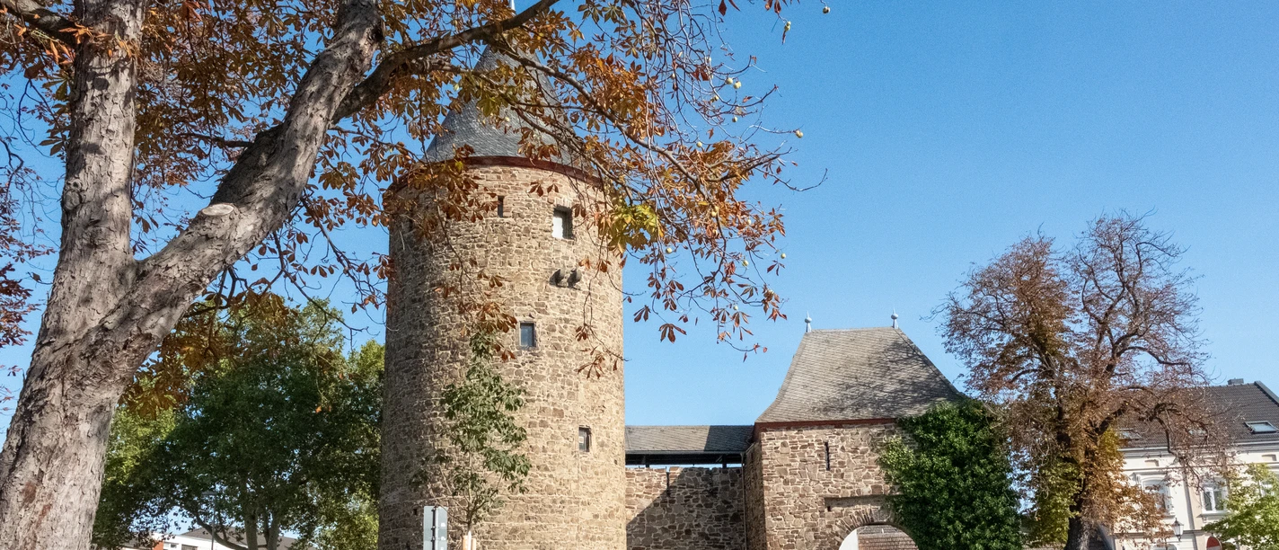 Wasemer Turm Herbst Rheinbach