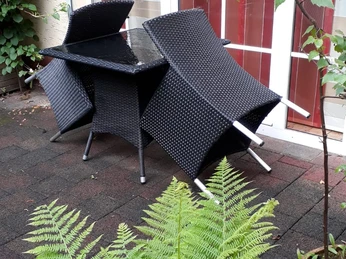 Gartenmöbel aus dunklem Rattan stehen vor einer Fensterfront; umrahmt von üppigem Grün aus Farnen.