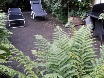 FeWo an den Externsteinen Außenbereich 2.jpg Zwei Liegestühle stehen auf einem gepflasterten Weg, umgeben von üppigem Grün und Farnen.