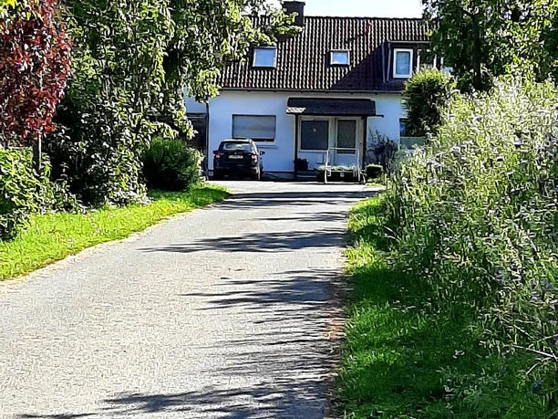 Einfahrt zum Hofladen Fiener mit einem lang gestreckten Weg, umgeben von üppiger Vegetation.