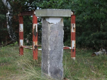 Gauß-Stein im Wald bei Nienburg, umgeben von Gras und einem verrosteten Metallzaun im Hintergrund.