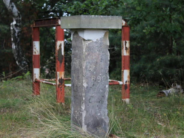 The Gauss Stone in the forest near Nienburg, surrounded by grass, with a rusty metal fence in the background.