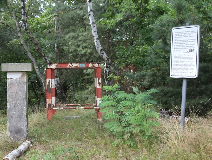 Der Gaußstein Osterberg in Nienburg steht in einem bewaldeten Gebiet neben einem informativen Schild.