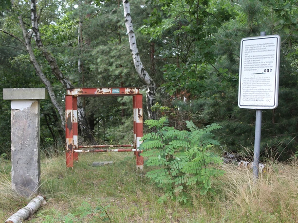 Gaußstein Osterberg Nienburg Der Gaußstein Osterberg in Nienburg steht in einem bewaldeten Gebiet neben einem informativen Schild.