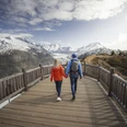 Bergfrühling in der Aletsch Arena