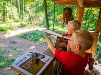 Frerener Holtpättken ©Emsland Tourismus GmbH Kinder beobachten vom hölzernen Aussichtspunkt im Wald Tiere durch ein Fernrohr am Walderlebnispfad.