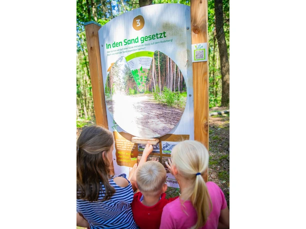 Frerener Holtpättken ©Emsland Tourismus GmbH Drei Kinder erkunden eine interaktive Lernstation im Wald mit Anschautafel und Drehscheibe.