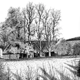 holsen-hofanlage-ostsieker-alt.jpg Alte Hofanlage mit Fachwerkhäusern und hohen Bäumen, umgeben von einer Wiese und kahlen Hecken.