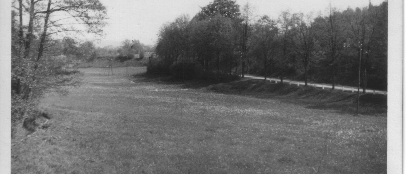 huellhorst-huellhorster-kruempel.jpg Eine weite, grasbewachsene Landschaft mit vereinzelten Bäumen und einem entlangführenden Weg.