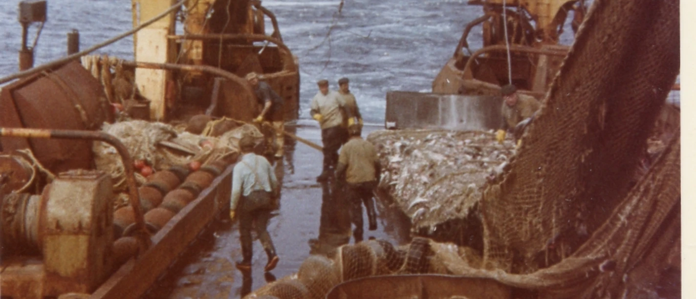 Film Abgefischt.jpg