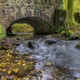 Steinbrücke über fließenden Bach im Silberbachtal, umgeben von moosbewachsenen Bäumen und Laub.