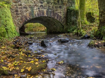 Steinbrücke über fließenden Bach im Silberbachtal, umgeben von moosbewachsenen Bäumen und Laub.