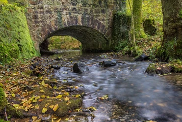 11215-Wald-Silberbachtal.jpg Steinbrücke über fließenden Bach im Silberbachtal, umgeben von moosbewachsenen Bäumen und Laub.