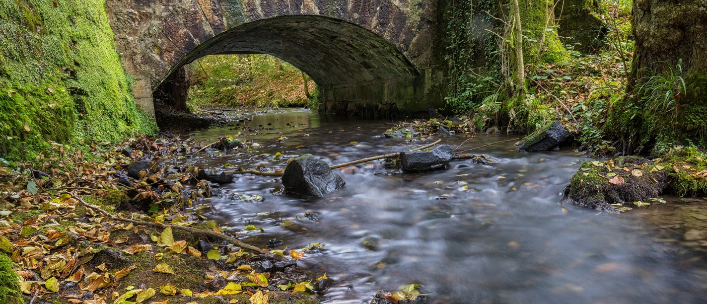 11215-Wald-Silberbachtal.jpg Steinbrücke über fließenden Bach im Silberbachtal, umgeben von moosbewachsenen Bäumen und Laub.