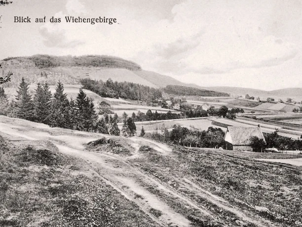 oberbauerschaft-augustus-hoffmann-bank-01.jpg Historische Schwarzweiß-Aufnahme des Wiehengebirges mit hügeliger Landschaft und vereinzelt stehenden Bäumen.
