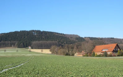 oberbauerschaft-blick-ins-ravensberer-land-02.jpg Weite grüne Felder vor einem bewaldeten Hügel mit einem Haus und roten Dächern unter blauem Himmel.