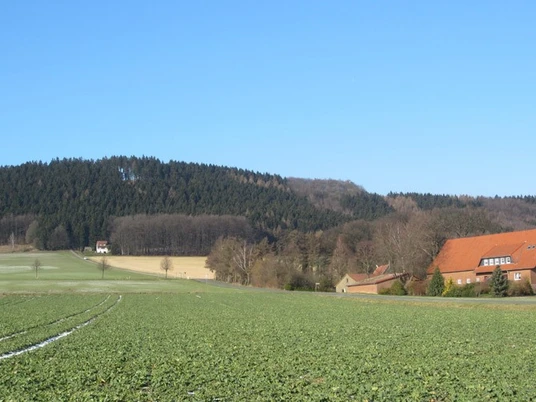 oberbauerschaft-blick-ins-ravensberer-land-02.jpg Weite grüne Felder vor einem bewaldeten Hügel mit einem Haus und roten Dächern unter blauem Himmel.