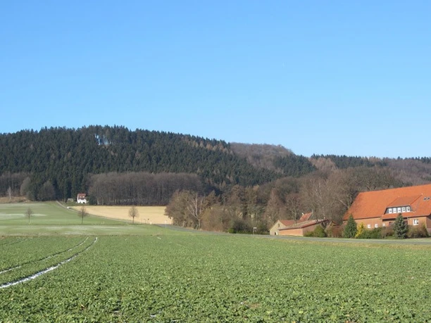 oberbauerschaft-blick-ins-ravensberer-land-02.jpg Weite grüne Felder vor einem bewaldeten Hügel mit einem Haus und roten Dächern unter blauem Himmel.