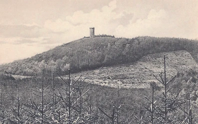 oberbauerschaft-hilgenstuh-alt.jpg Ein bewaldeter Hügel mit einem Turm oben, umgeben von Bäumen unter einem bewölkten Himmel.
