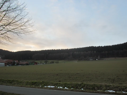 oberbauerschaft-hilgenstuhl.JPG Weites Feld vor einer sanft ansteigenden Waldlandschaft unter bewölktem Himmel in Oberbauerschaft.