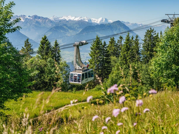 Bitte einsteigen in die Luftseilbahn Weggis-Rigi Kaltbad.jpg
