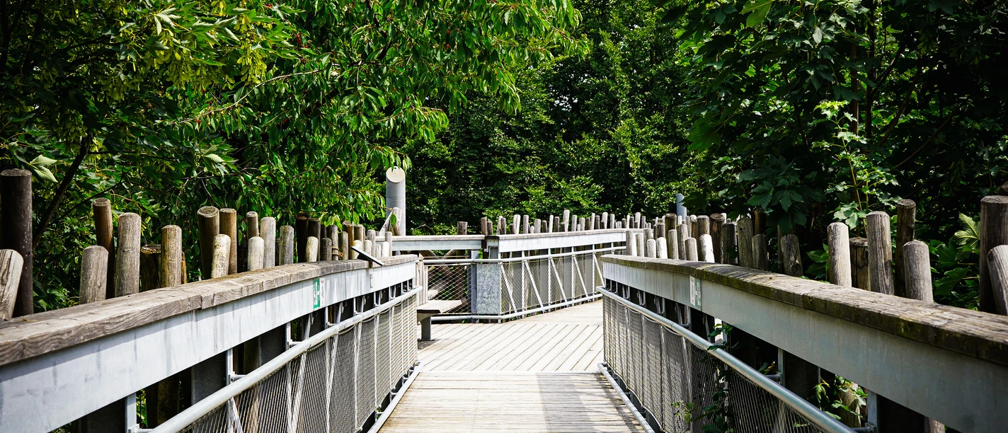 BWP_Sommer-2023-4.jpg
